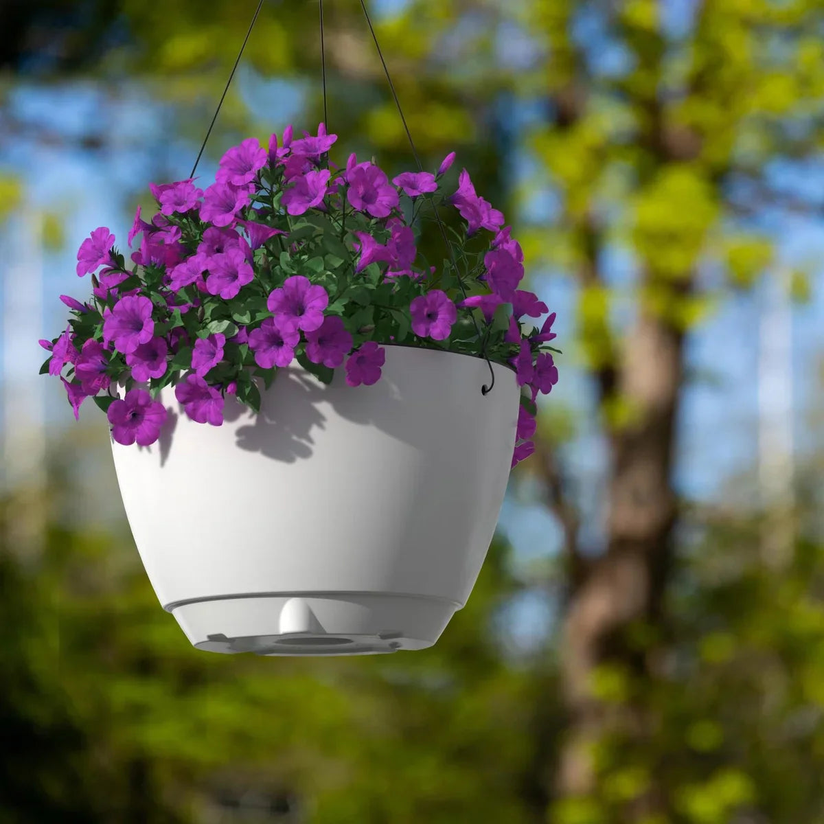 Caprio 14 in. Hanging Planter