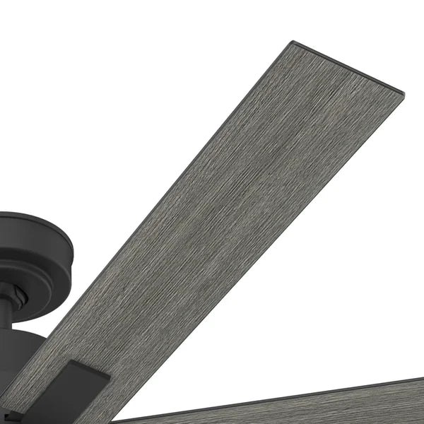 Hunter Loflin LED 60 in. Ceiling Fan