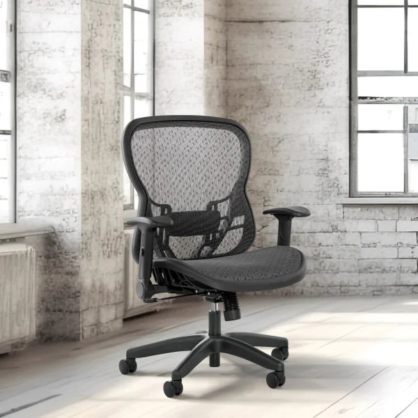 Deluxe R2 SpaceGrid Professional Office Chair