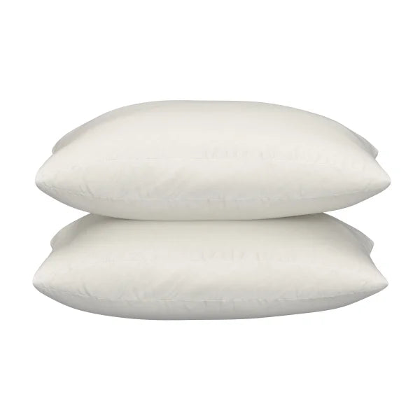 Sealy Organic Cotton Cover Pillow, 2-Pack