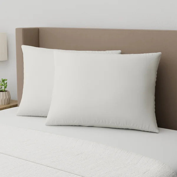 Sealy Organic Cotton Cover Pillow, 2-Pack