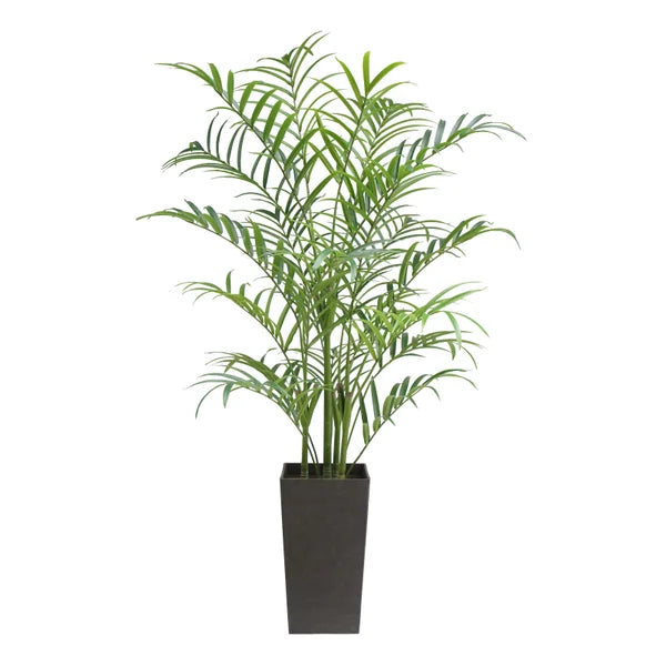 Faux Kentia Palm Tree 2.1 m (7 ft.)