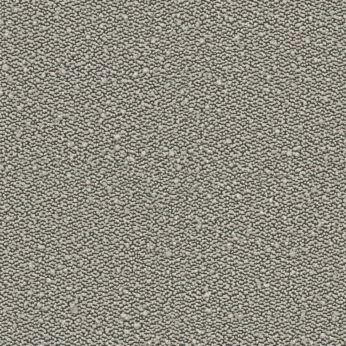 Amisco Caris Dining Chair