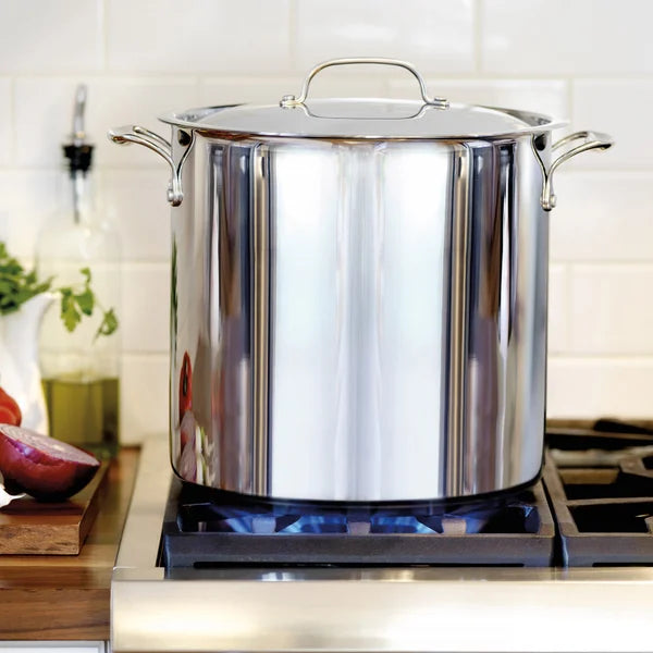 Bergner Stainless Steel Stock Pot with Lid, 16 L (16.9 qt.)