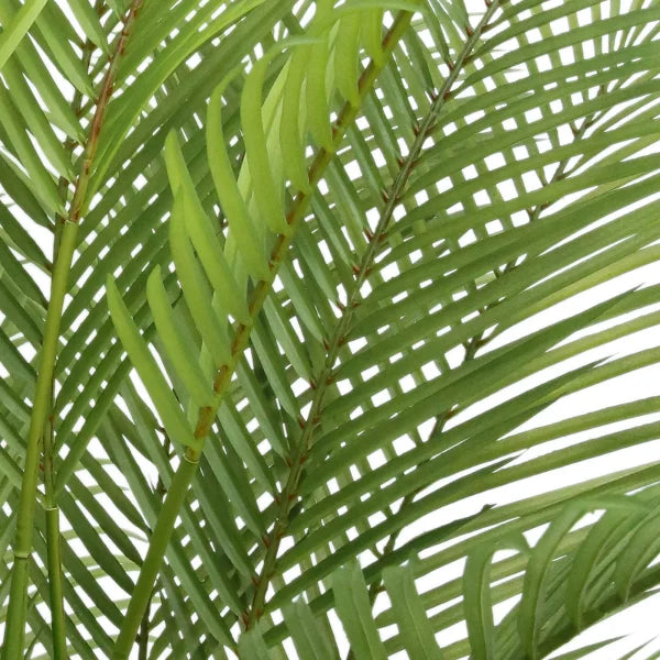 Faux Palm Tree 2.0 m (6.5 ft.)