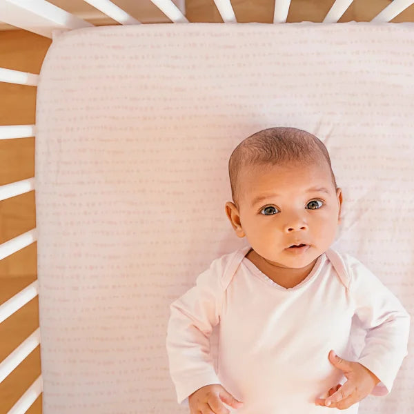 Baby's First by Nemcor Cotton Fitted Crib Sheets, 2-pack