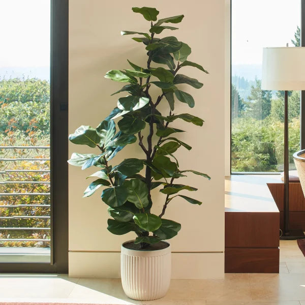 Faux 1.9 m (6.5 ft.) Slim Fig Tree
