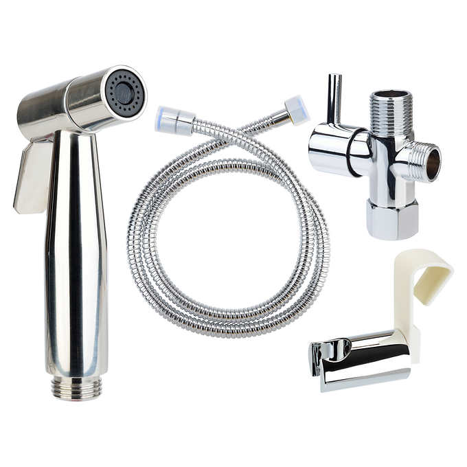 Brondell CleanSpa Luxury Hand Held Bidet