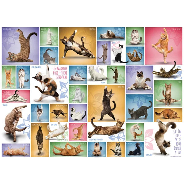 Eurographics Yoga Cats Puzzle with Accessory Kit - English Only