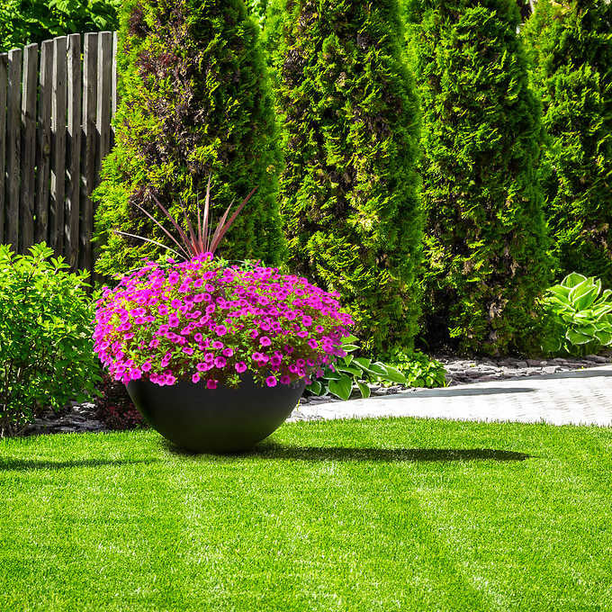 Courtyard 21 53 cm (21 in) Self-Watering Garden Planter