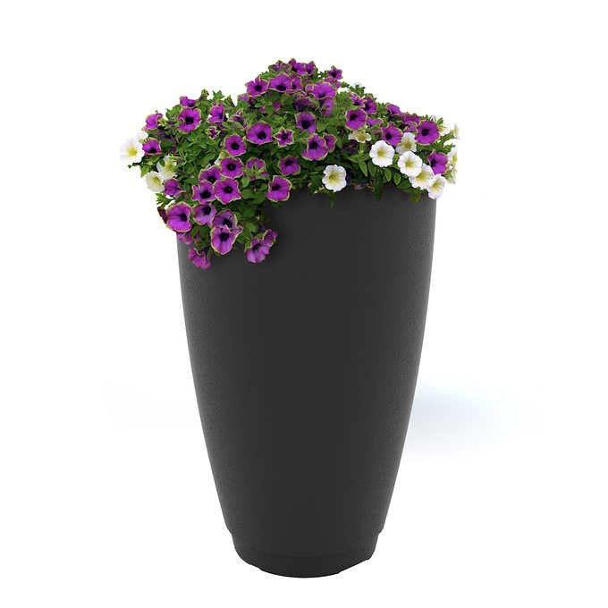 Caprio 26in Tall Self Watering Planter - Black