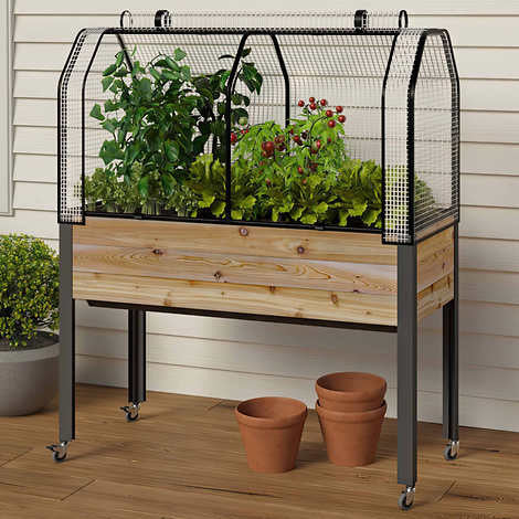 Self-Watering Elevated Cedar Planter With Greenhouse and Bug cover