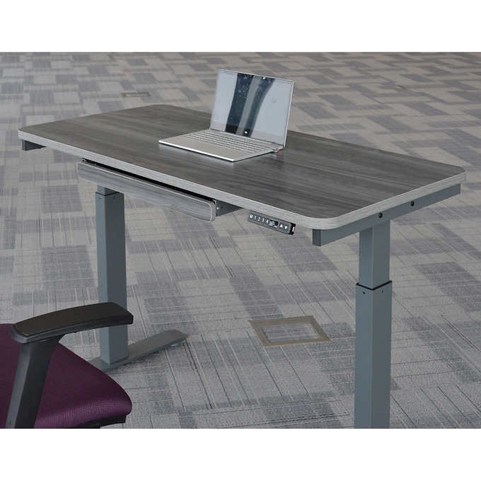 Motionwise 121.9 cm × 61 cm (48 in. × 24 in.) Height Adjustable Standing Desk