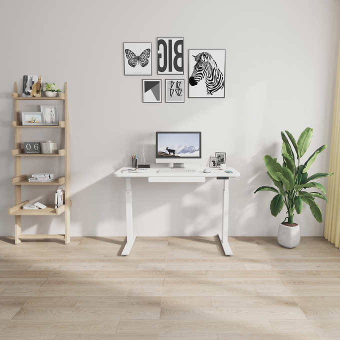 Motionwise 121.9 cm × 61 cm (48 in. × 24 in.) Height Adjustable Standing Desk