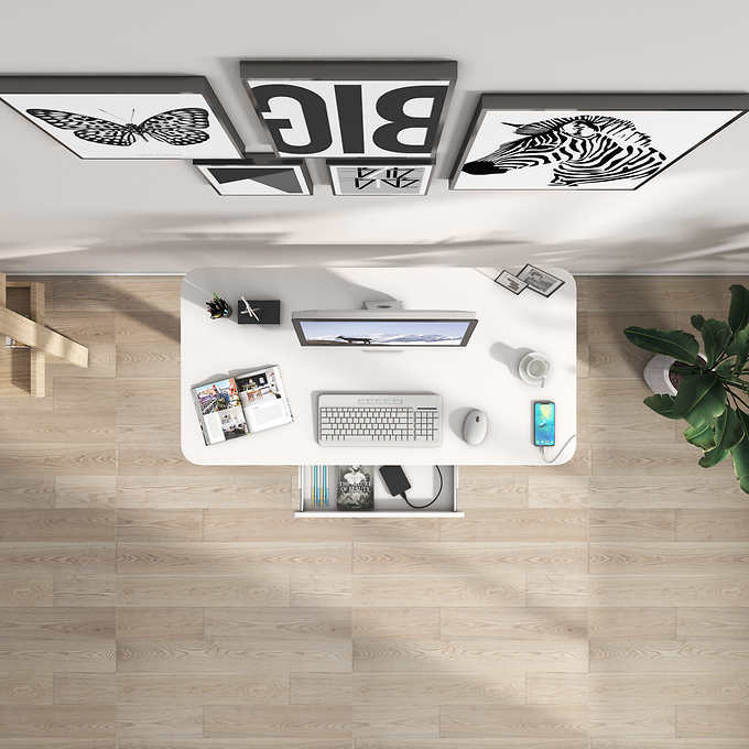 Motionwise 121.9 cm × 61 cm (48 in. × 24 in.) Height Adjustable Standing Desk