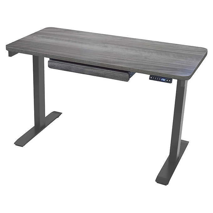 Motionwise 121.9 cm × 61 cm (48 in. × 24 in.) Height Adjustable Standing Desk