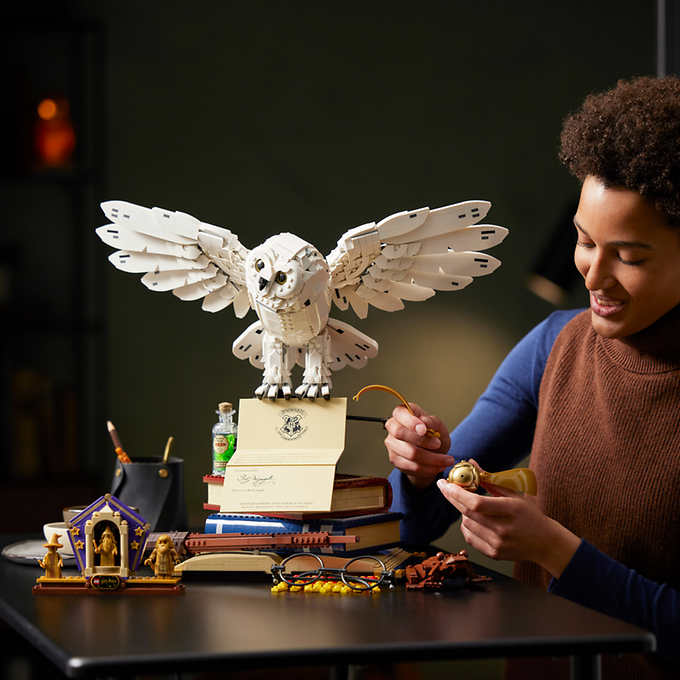 LEGO Harry Potter Hogwarts Icons – Collector’s Edition with Bonus LEGO Architecture New York City 21028