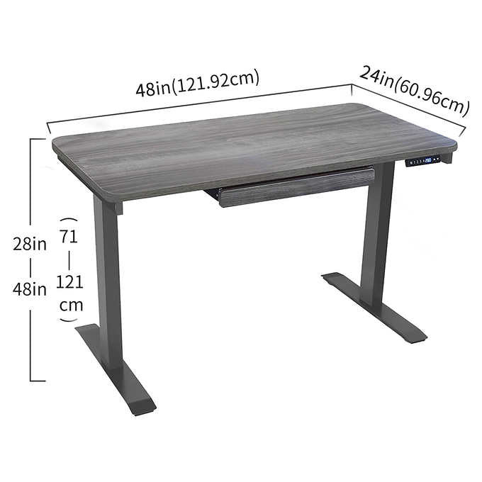 Motionwise 121.9 cm × 61 cm (48 in. × 24 in.) Height Adjustable Standing Desk