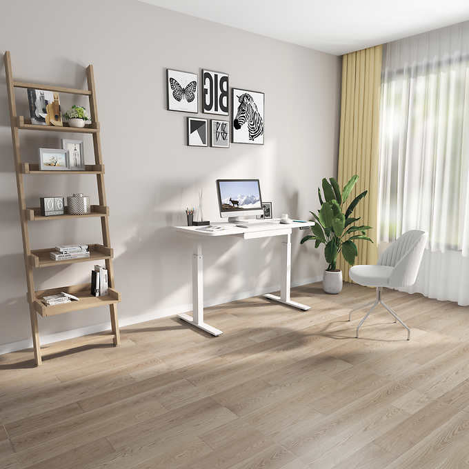 Motionwise 121.9 cm × 61 cm (48 in. × 24 in.) Height Adjustable Standing Desk