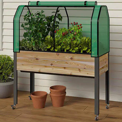 Self-Watering Elevated Cedar Planter With Greenhouse and Bug cover